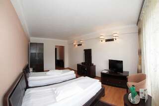 Отель Hotel Dumbrava Рупя Двухместный номер с 2 отдельными кроватями-2