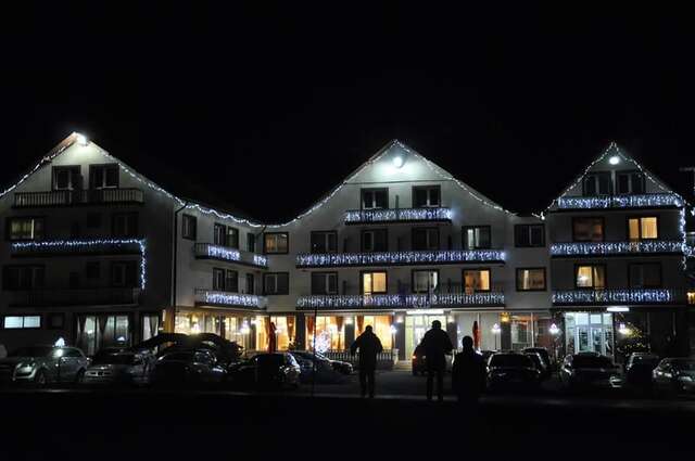 Отель Hotel Dumbrava Рупя-38